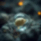 Biological incubation mechanisms in nature