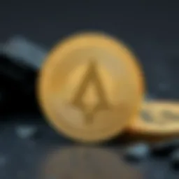 Visual representation of the unique characteristics of La Plata Coin